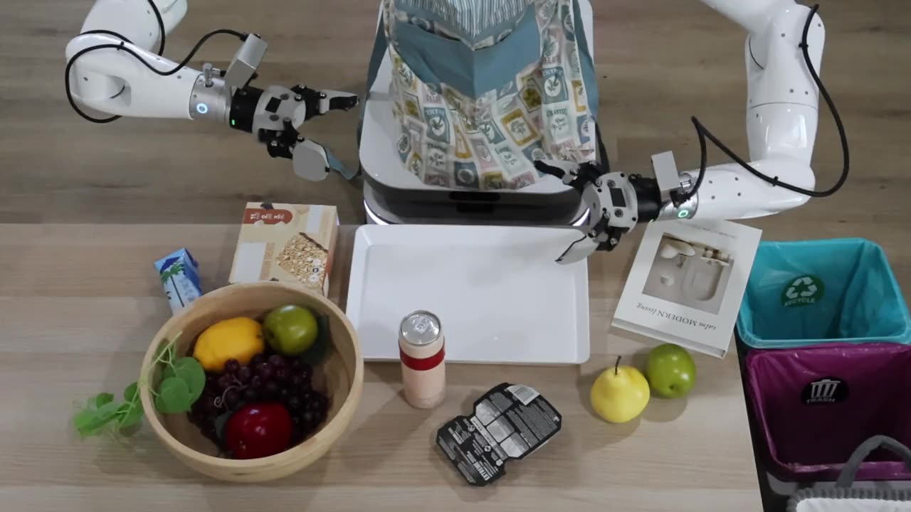 Public CRIS-0 household robot demonstration
